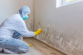 Why You Should Choose Our Mold Remediation Services in Fort Sumner, NM