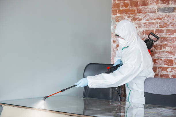 Best Mold Remediation for Vacation Homes  in Fort Sumner, NM