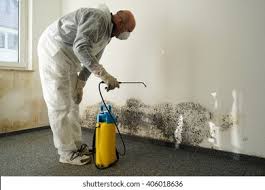 Best Mold Damage Restoration  in Fort Sumner, NM